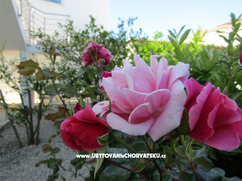 Appartements Kokor – Ferienwohnung Vodice, Kroatien – Foto 4