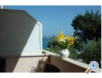 Appartements latin - Vodice Kroatien