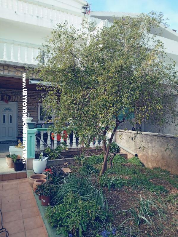 Appartements Marijana Alaga – Ferienwohnung Vodice, Kroatien – Foto 3