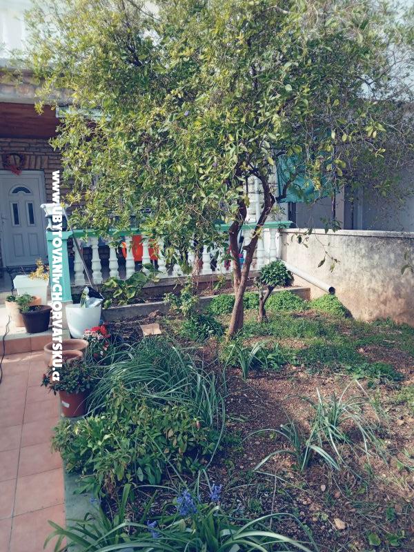Appartements Marijana Alaga – Ferienwohnung Vodice, Kroatien – Foto 4