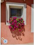 Appartamenti Nana - Vodice Croazia