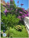 Appartements Rino - Vodice Kroatien