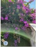 Appartements Rino - Vodice Kroatien