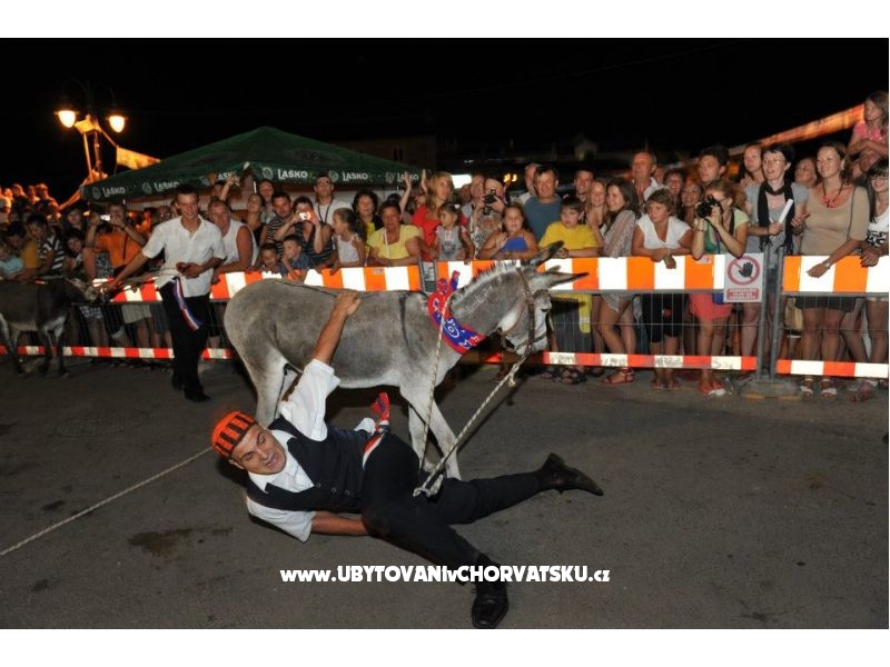 Appartements Škugor – Ferienwohnung Vodice, Kroatien – Foto 13