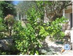 Apartmaji Sonja - Vodice Hrvaka