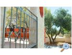 Apartmaji Stella Maris - Vodice Hrvaka