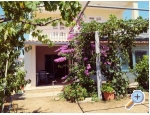 Appartements Vinka - Vodice Kroatien