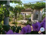 Apartmaji Vinka - Vodice Hrvaka