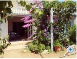 Apartmaji Vinka - Vodice Hrvaka
