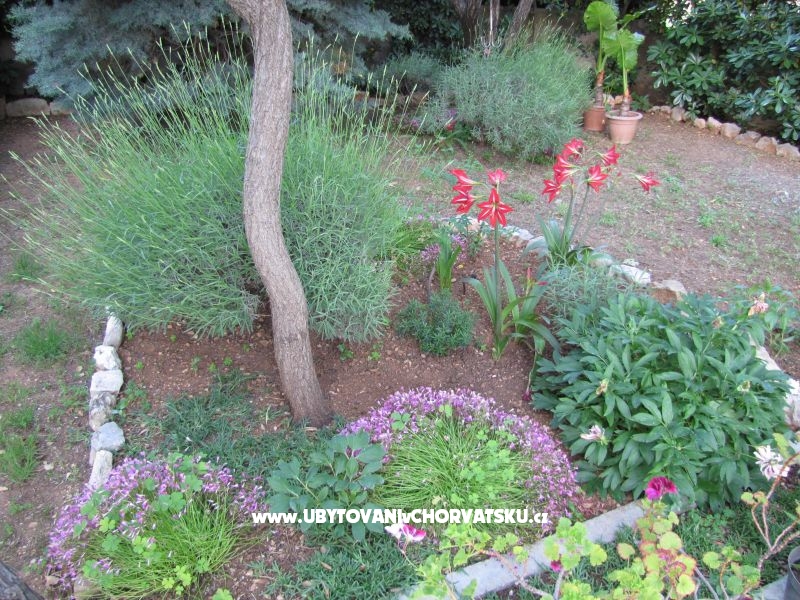 Appartements Zvonimir – Ferienwohnung Vodice, Kroatien – Foto 11