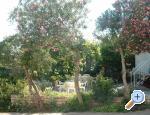 Apartmaji 21 Vodice - Vodice Hrvaka