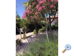 Ferienwohnungen Milka - Vodice Kroatien