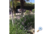 Ferienwohnungen Milka - Vodice Kroatien