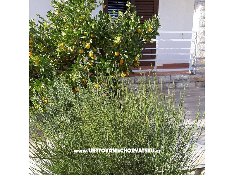 Apartmány Vitali – Ferienwohnung Vodice, Kroatien – Foto 10