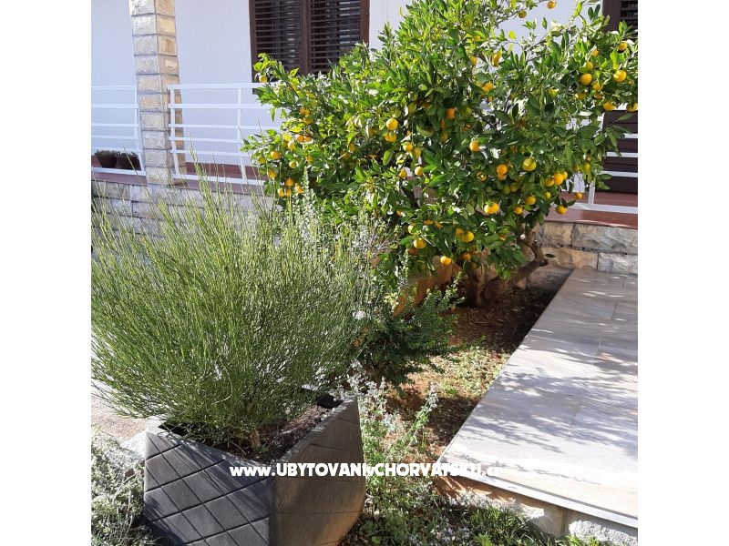 Apartmány Vitali – Ferienwohnung Vodice, Kroatien – Foto 11