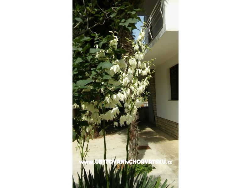 Apartmány Vitali – Ferienwohnung Vodice, Kroatien – Foto 6