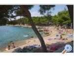 Appartement Ivan (15m from  beach) - Vodice Kroatien