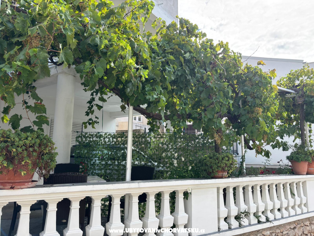 Appartement Ivan (15m from  beach) - Vodice Kroatien