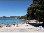 Appartement Ivan (15m from  beach) - Vodice Kroatien