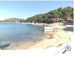 Apartma Ivan (15m from  beach) - Vodice Hrvaka