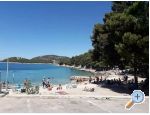 Apartma Ivan (15m from  beach) - Vodice Hrvaka