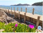 Apartma Ivan (15m from  beach) - Vodice Hrvaka