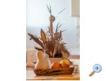Apartma Lory - Vodice Hrvaka