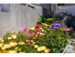 Apartmaji Marko - Vodice Hrvaka