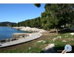 Antonela - Vodice Hrvaka