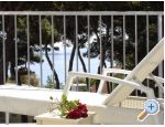 Apartmaji Villa Punta - Vodice Hrvaka