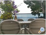 Apartmaji Villa Punta - Vodice Hrvaka