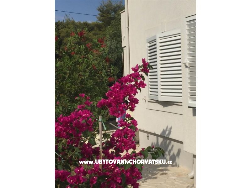 Ferienwohnungen Villa Tribunj – Ferienwohnung Vodice, Kroatien – Foto 11