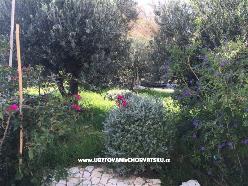 Ferienwohnungen Villa Tribunj – Ferienwohnung Vodice, Kroatien – Foto 3