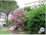 Apartmaji  IVAN - Vodice Hrvaka