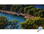 Jona Appartements - Vodice Kroatien