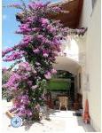 Apartmaji  Vesna - Vodice Hrvaka