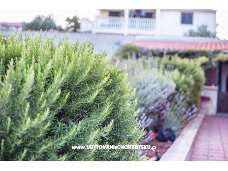 Villa Lovas – Ferienwohnung Vodice, Kroatien – Foto 5