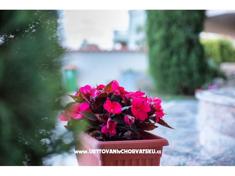 Villa Lovas – Ferienwohnung Vodice, Kroatien – Foto 6