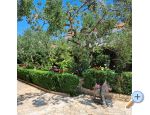 Villa Neda - Vodice Hrvaka