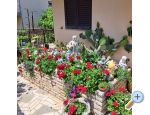 Villa Neda - Vodice Hrvaka