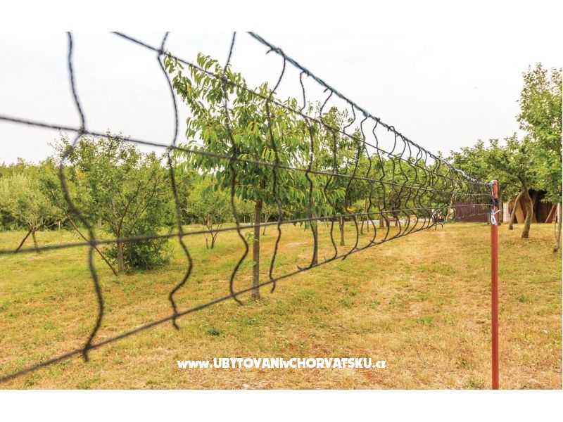 Ferienwohnungen Anna  – Ferienwohnung Vodnjan, Kroatien – Foto 6