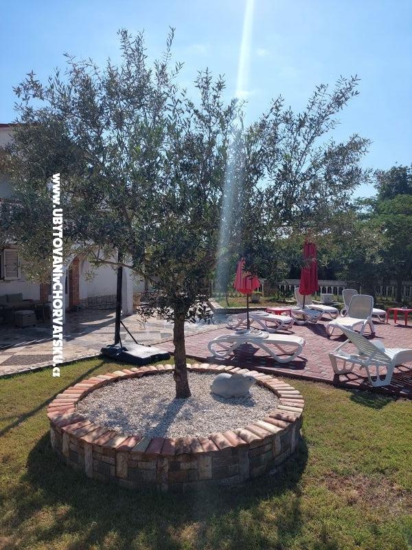 Apartmány Chipo – ubytování Vodnjan, Chorvatsko – foto 3