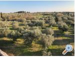 Casadigioia Apartmaji - Vodnjan Hrvaka