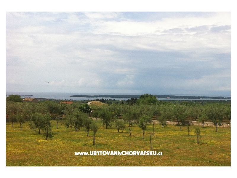 Villa Aleksandra – ubytování Vodnjan, Chorvatsko – foto 17