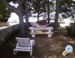 Adria apartment Rovanjska - Zadar Hrvaka
