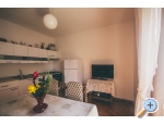 Appartements Antonia - Zadar Kroatien