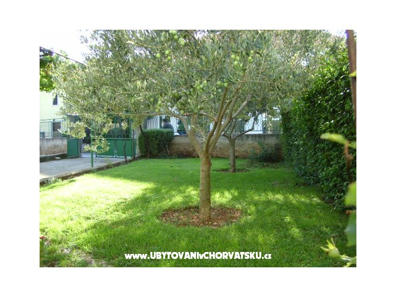 Apartmán  Dalmacija – ubytování Zadar, Chorvatsko – foto 17