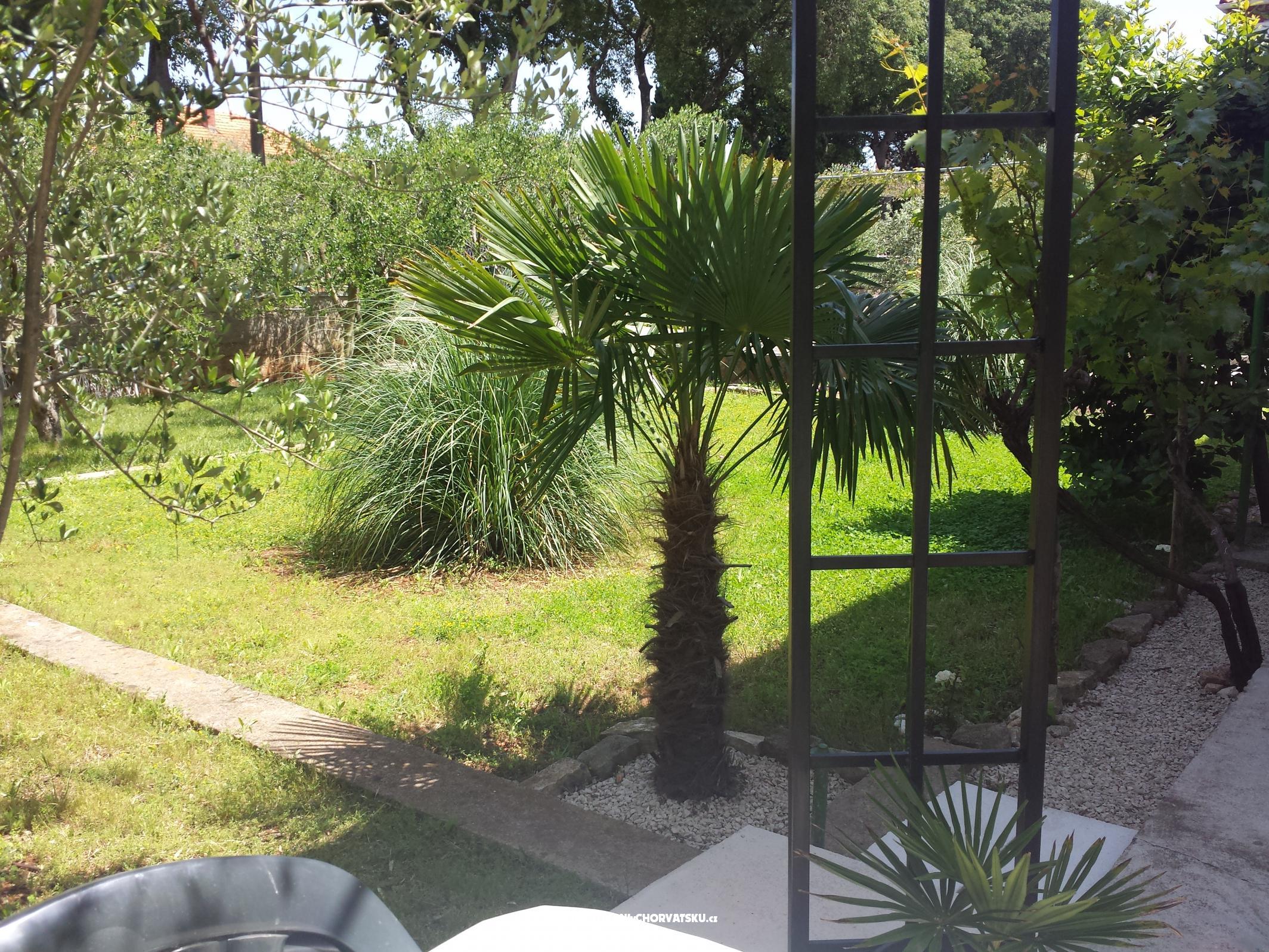 Apartment Korina – Ferienwohnung Zadar, Kroatien – Foto 2