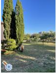 Apartment Lakic - Zadar Kroatien