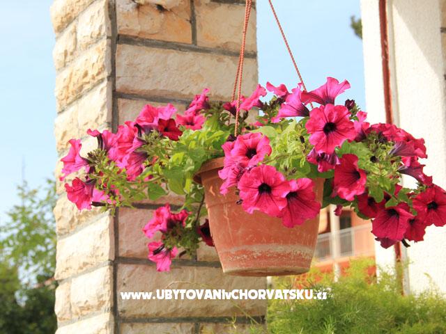 Apartment Marija - Kožino – Ferienwohnung Zadar, Kroatien – Foto 10